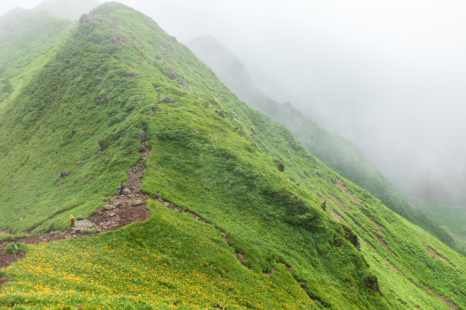 ガスに包まれた秋田駒ヶ岳の緑の稜線と登山道