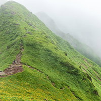 秋田駒ヶ岳の稜線をガスが覆う登山道と雲海の風景の写真
