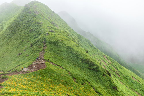 秋田駒ヶ岳の稜線をガスが覆う登山道と雲海の風景