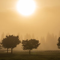 秋の公園に広がる朝霧と朝焼けの写真