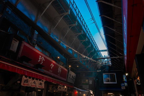 アメ横高架下の昭和レトロな飲み屋街と赤提灯