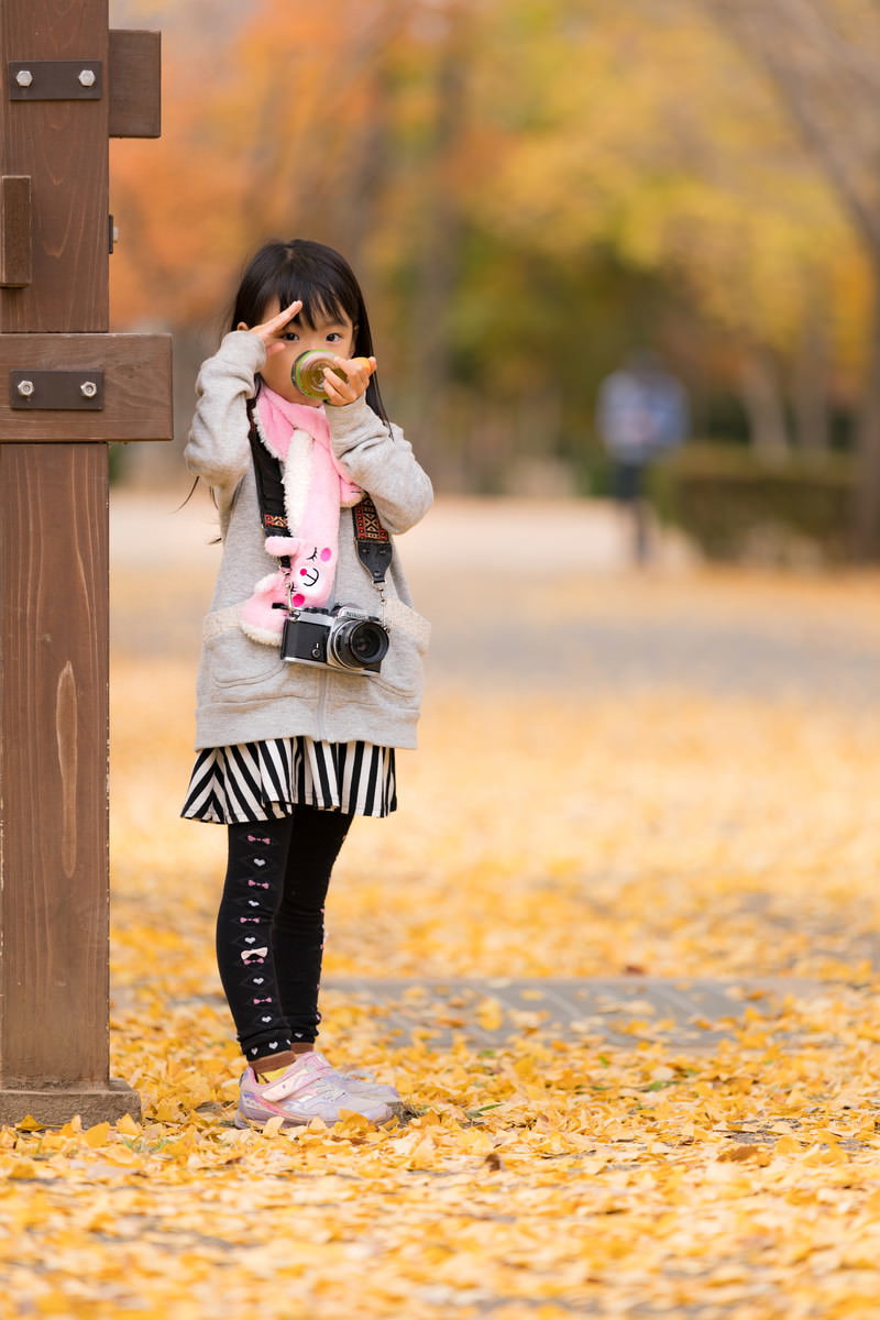 黄色いイチョウの落ち葉が敷き詰められた公園で遊ぶ女の子［モデル：あんじゅ］