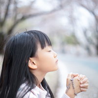 桜の花びらの上で神様に祈りを捧げる女の子の写真