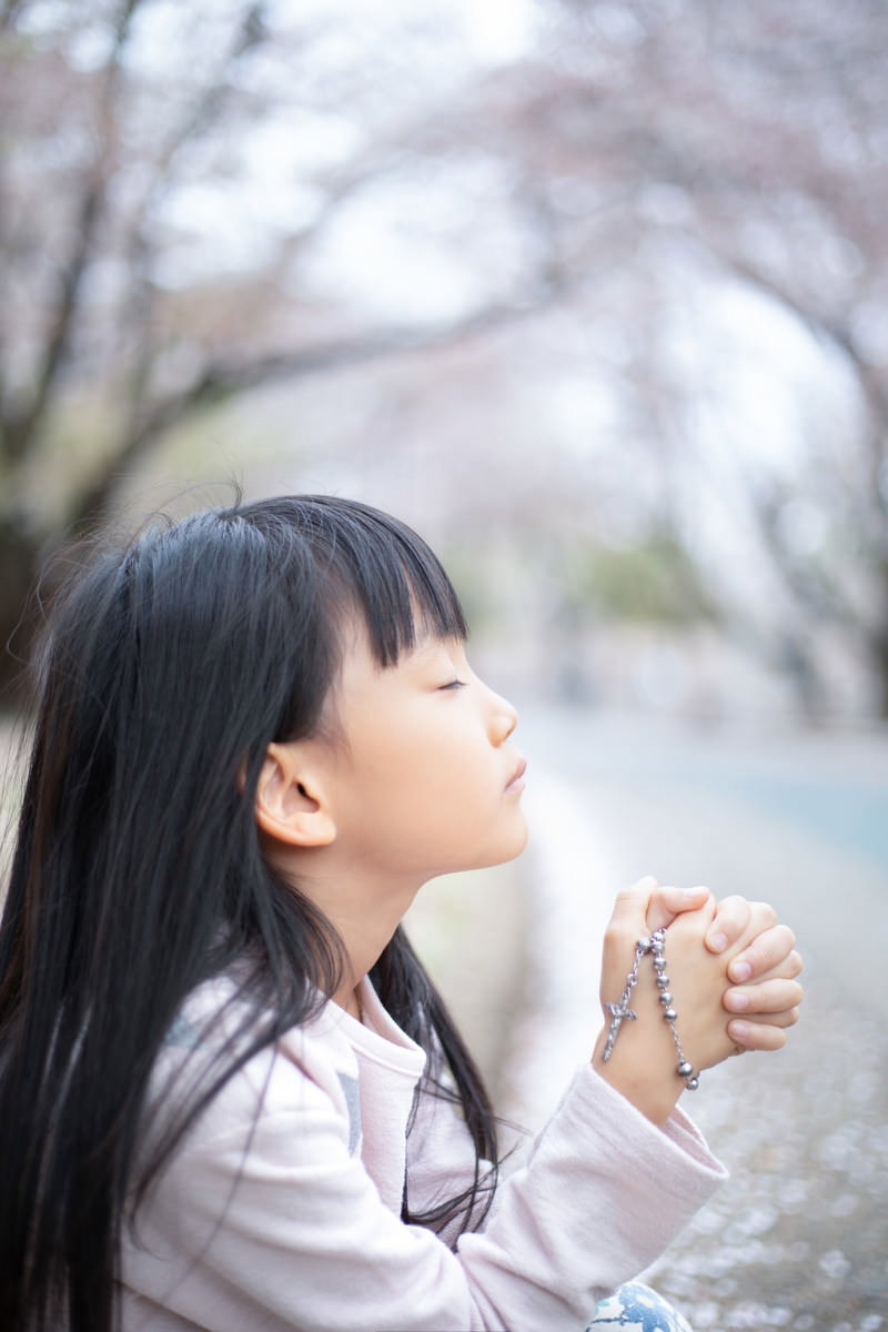 桜の花びらの上で祈る女の子［モデル：あんじゅ］