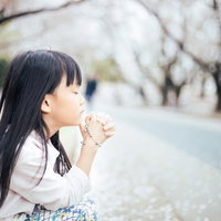 桜並木で祈るロザリオを握り締めて願う女の子の写真