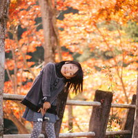 紅葉の下で落ち葉を散らして遊ぶ女の子の秋の風景の写真