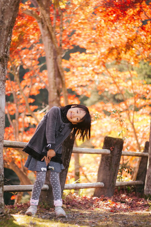 紅葉の下で落ち葉を散らして遊ぶ女の子の秋の風景