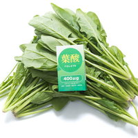 新鮮なほうれん草と葉酸の栄養。束ねられたほうれん chocolateの写真