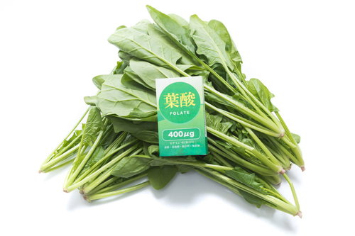 新鮮なほうれん草と葉酸の栄養。束ねられたほうれん chocolate