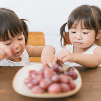 大好物のぶどうに夢中なツインズ姉妹、ツインテールの双子が食べるの写真