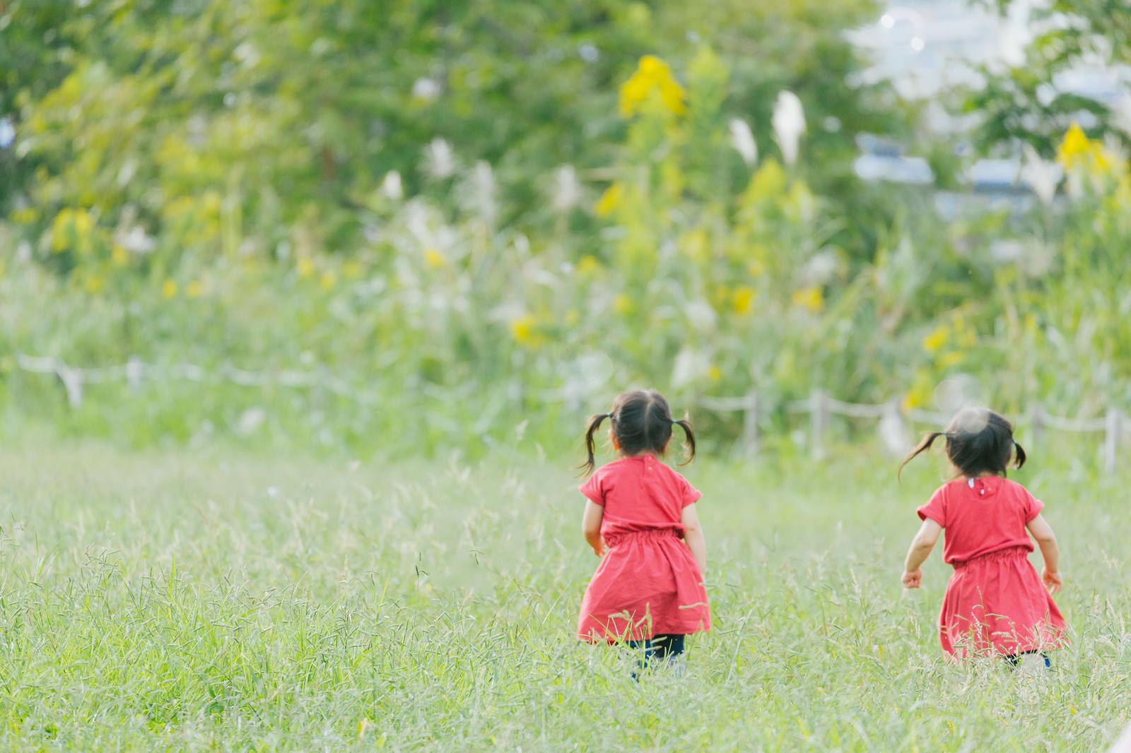 緑の原っぱで赤い服を着たツインテールの双子の女の子が走っている後ろ姿［モデル：あおみどり］