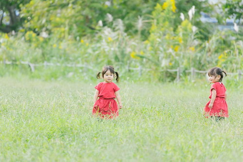 広い空き地と双子の女の子