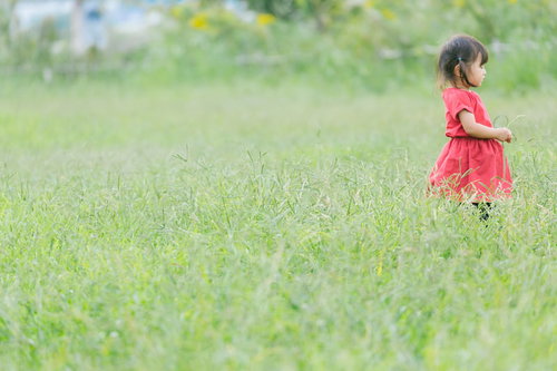 緑の原っぱで赤いワンピースを着て遊ぶ女児