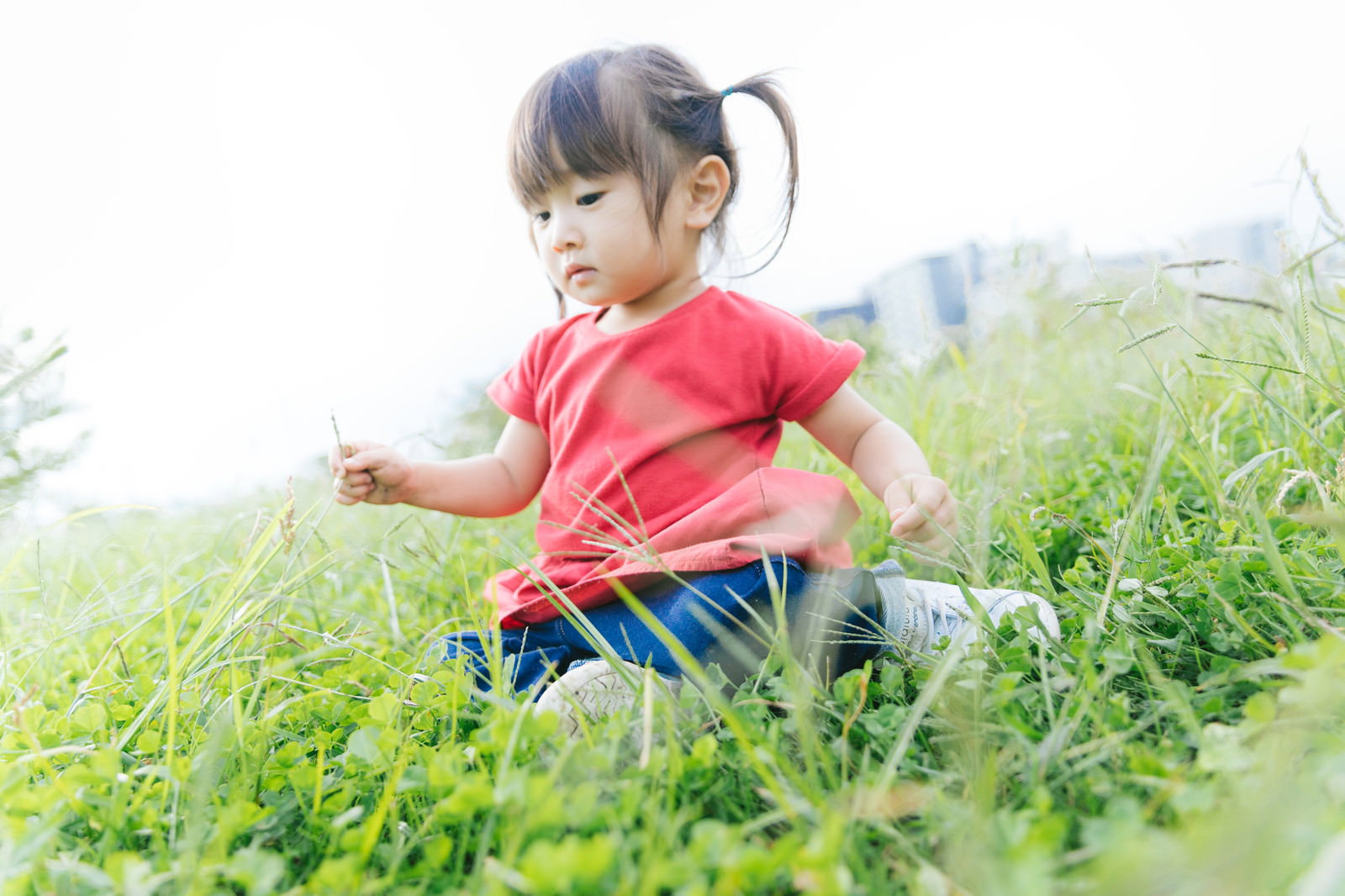 草むらに座り込んで遊ぶツインテールの小さな女の子［モデル：あおみどり］