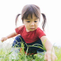 公園の原っぱでお花を摘むツインテール女児の写真