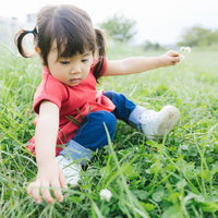 原っぱでシロツメクサを集める女の子の春の風景の写真