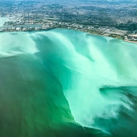 東京湾の青潮を空撮した海流の様子とバクテリア大量発生による色変化の写真
