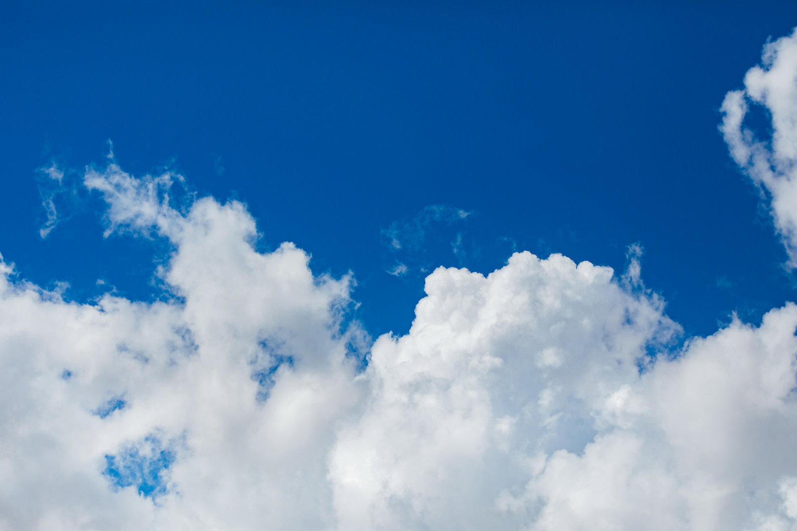 鮮やかな青空に白くてふわふわした雲が浮かんでいる