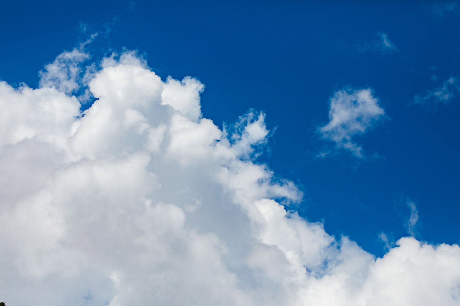 青い空に白くて大きな雲が広がっている夏空の風景