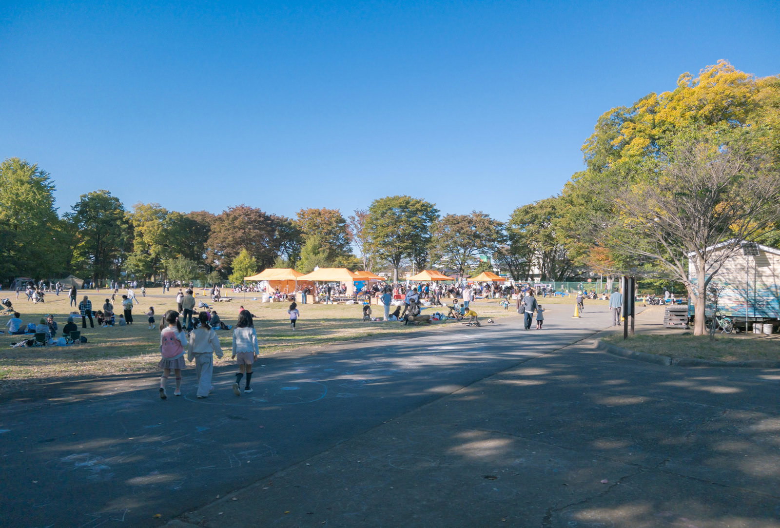 青空の下、紅葉した木々に囲まれた公園で開催された朝霞の森秋祭の会場風景