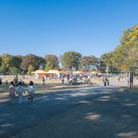 朝霞の森で開催された秋祭りの会場の風景と来場者の賑わいの写真