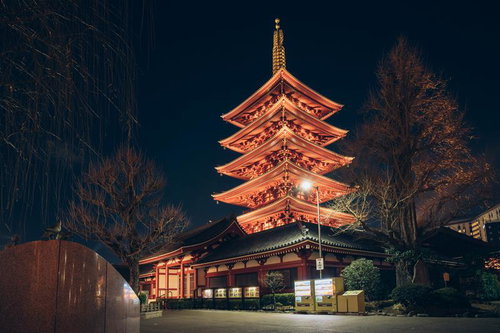 浅草寺の五重塔がライトアップされた夜景 東京の歴史的寺院建築