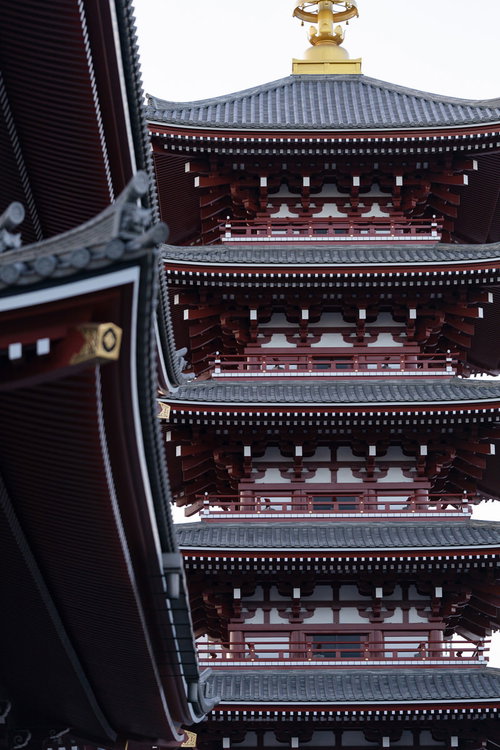 浅草の軒から見上げる五重塔、伝統的な朱色の木造建築と灰色の瓦屋根