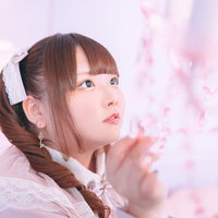 白いヘアクリップを付けたゆるふわ女子がシャンデリアを見つめるの写真