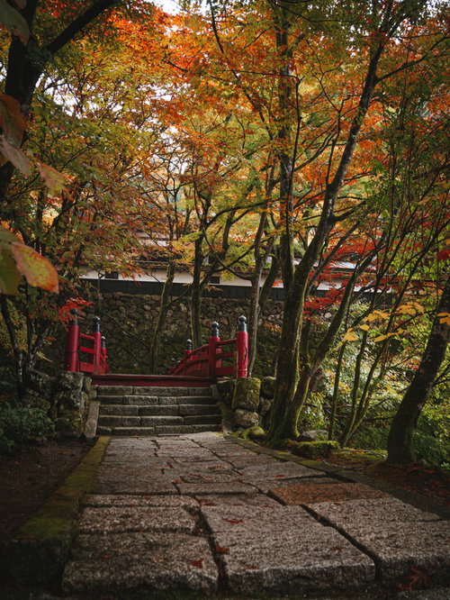 横蔵寺（よこくらじ）の医王橋