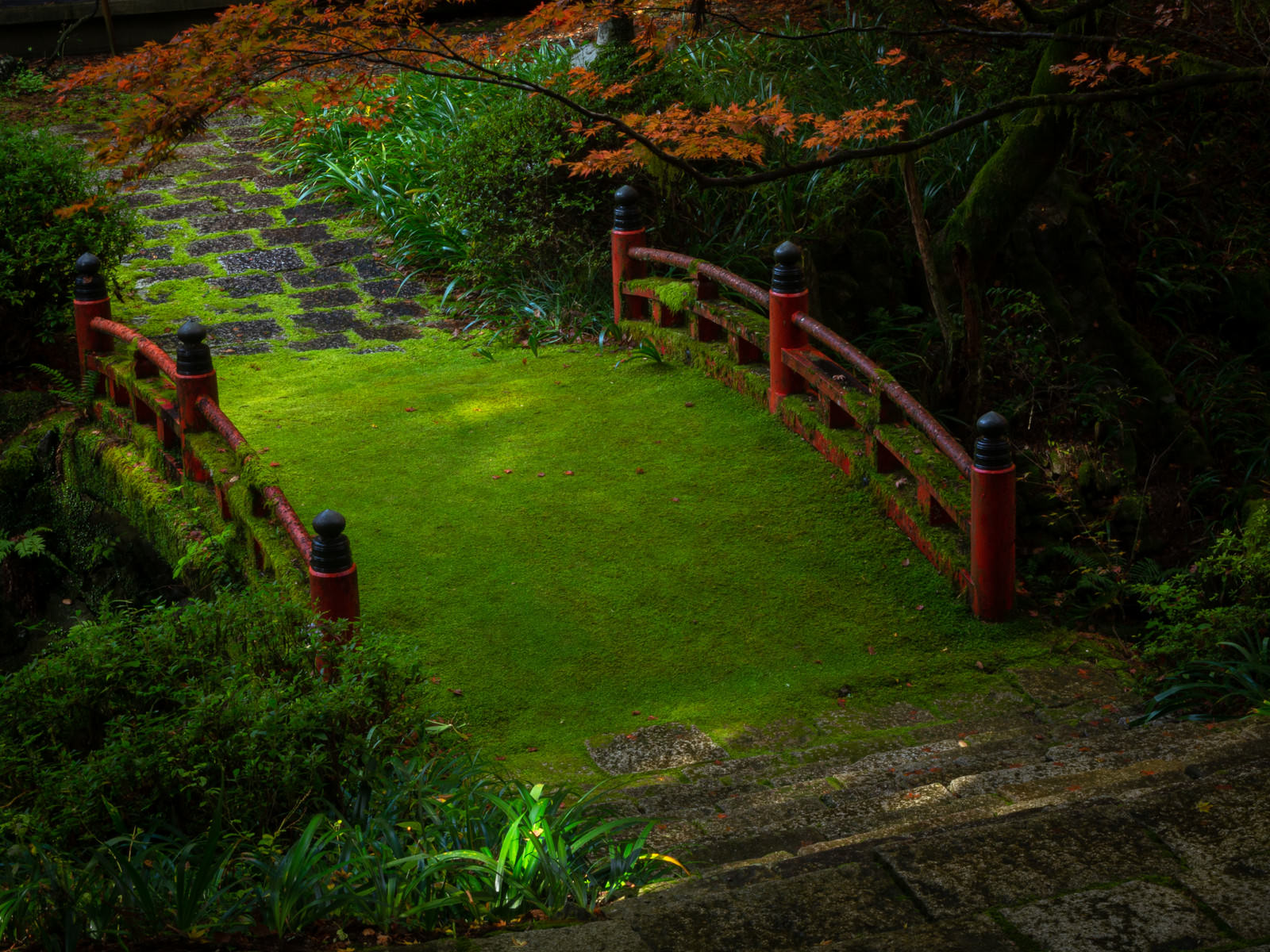 横蔵寺境内の苔に覆われた赤い橋と周囲の紅葉した木々