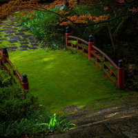 横蔵寺の苔むした赤い橋の写真