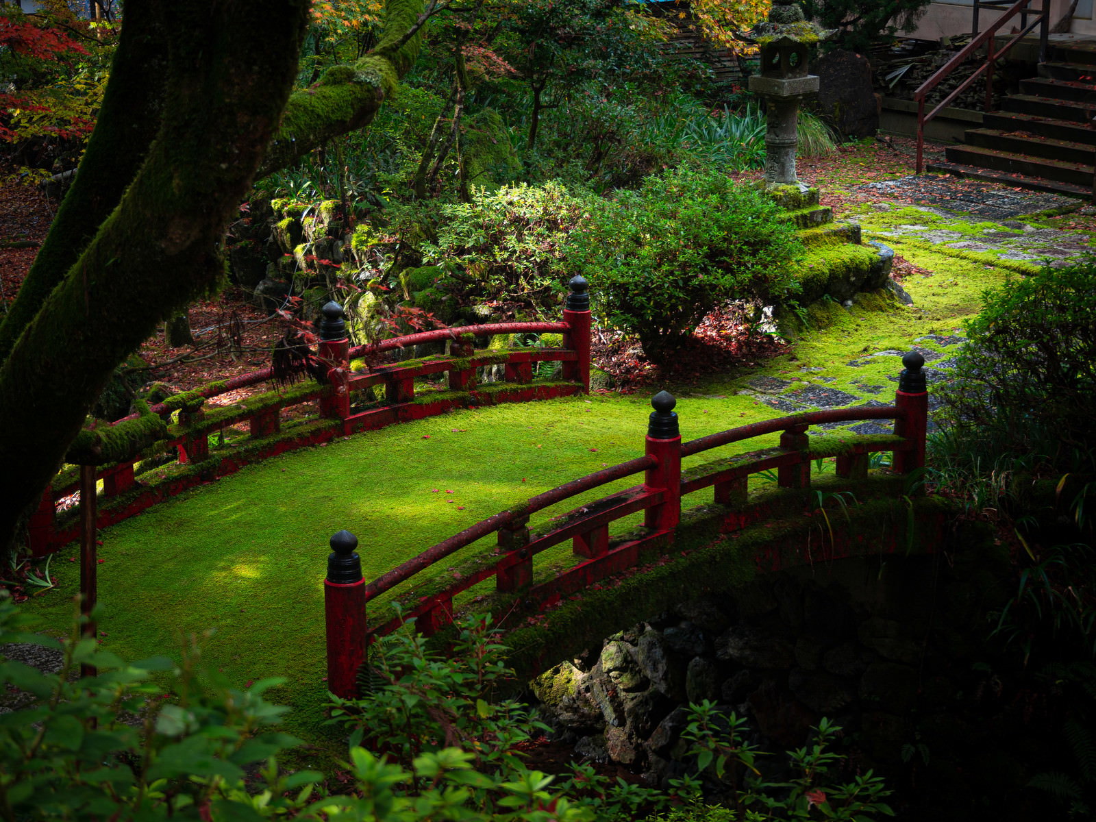 横蔵寺境内の飛鳥川に架かる朱色の橋と緑豊かな自然風景