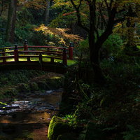 日に照らされた赤い橋の写真