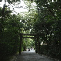 豊受大神宮（とようけだいじんぐう）（外宮）の森の中に建つ第二鳥居の写真