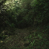 硫黄島の海軍司令部壕へと続く荒れた道の写真