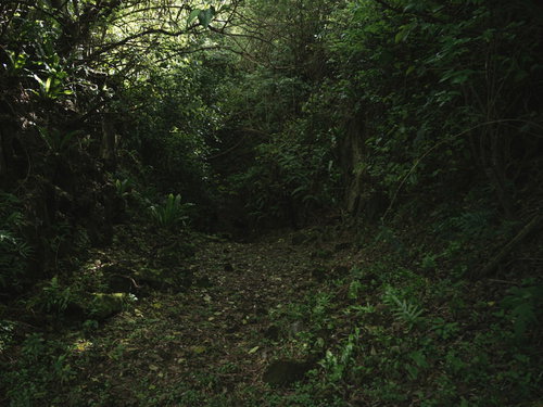 硫黄島の海軍司令部壕へと続く荒れた道