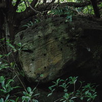 壕近くの岩肌に残る無数の弾痕［場所：硫黄島］の写真