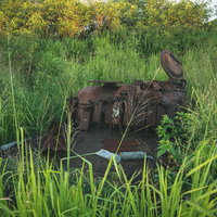 深い草むらに埋もれた錆て朽ちかけたシャーマン戦車と砲弾薬きょうの写真