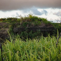 道路脇に佇むトーチカの写真