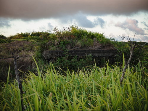 道路脇に佇むトーチカ