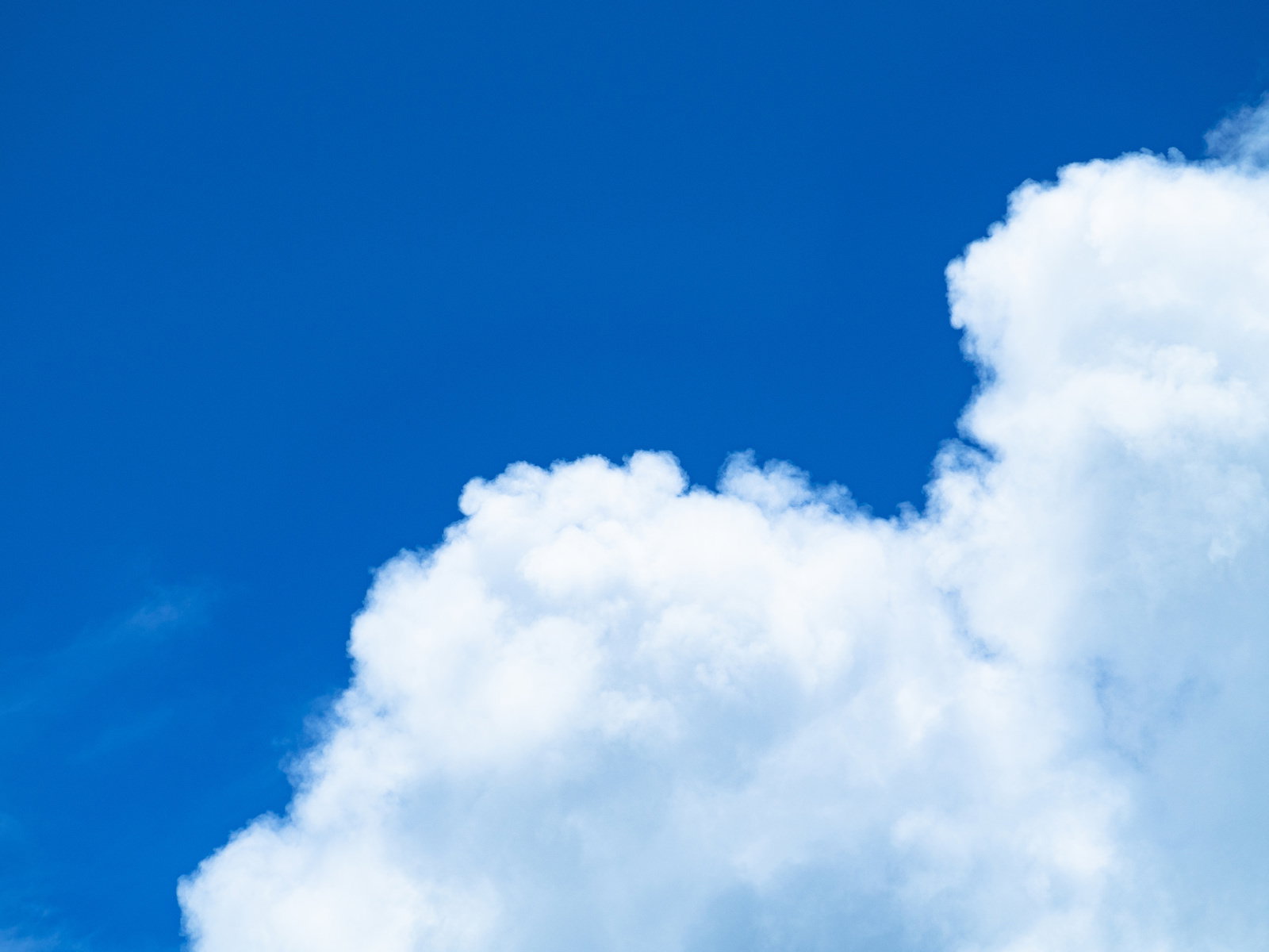 鮮やかな青空に大きな白い雲が浮かぶ夏の空