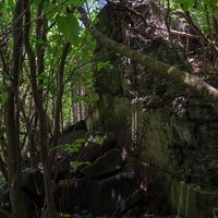 ジャングルの中に残る半ば瓦礫と化した第1中隊トーチカの写真