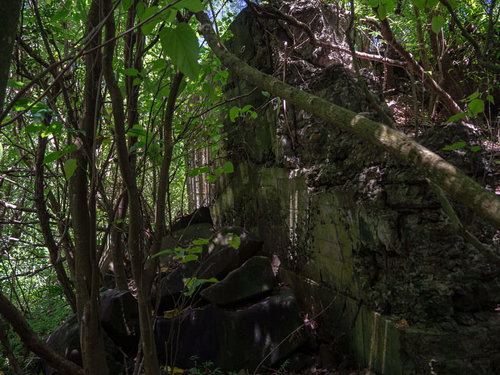 ジャングルの中に残る半ば瓦礫と化した第1中隊トーチカ