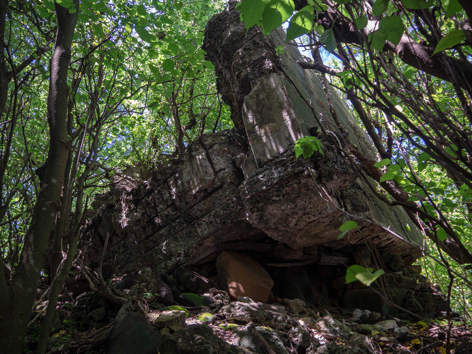 緑豊かなジャングルの中に佇む崩れたコンクリート製トーチカの遺跡