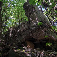 鬱蒼としたジャングルの中の崩れた第1中隊トーチカの写真