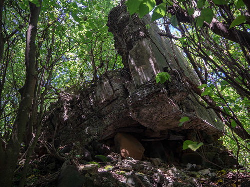 鬱蒼としたジャングルの中の崩れた第1中隊トーチカ