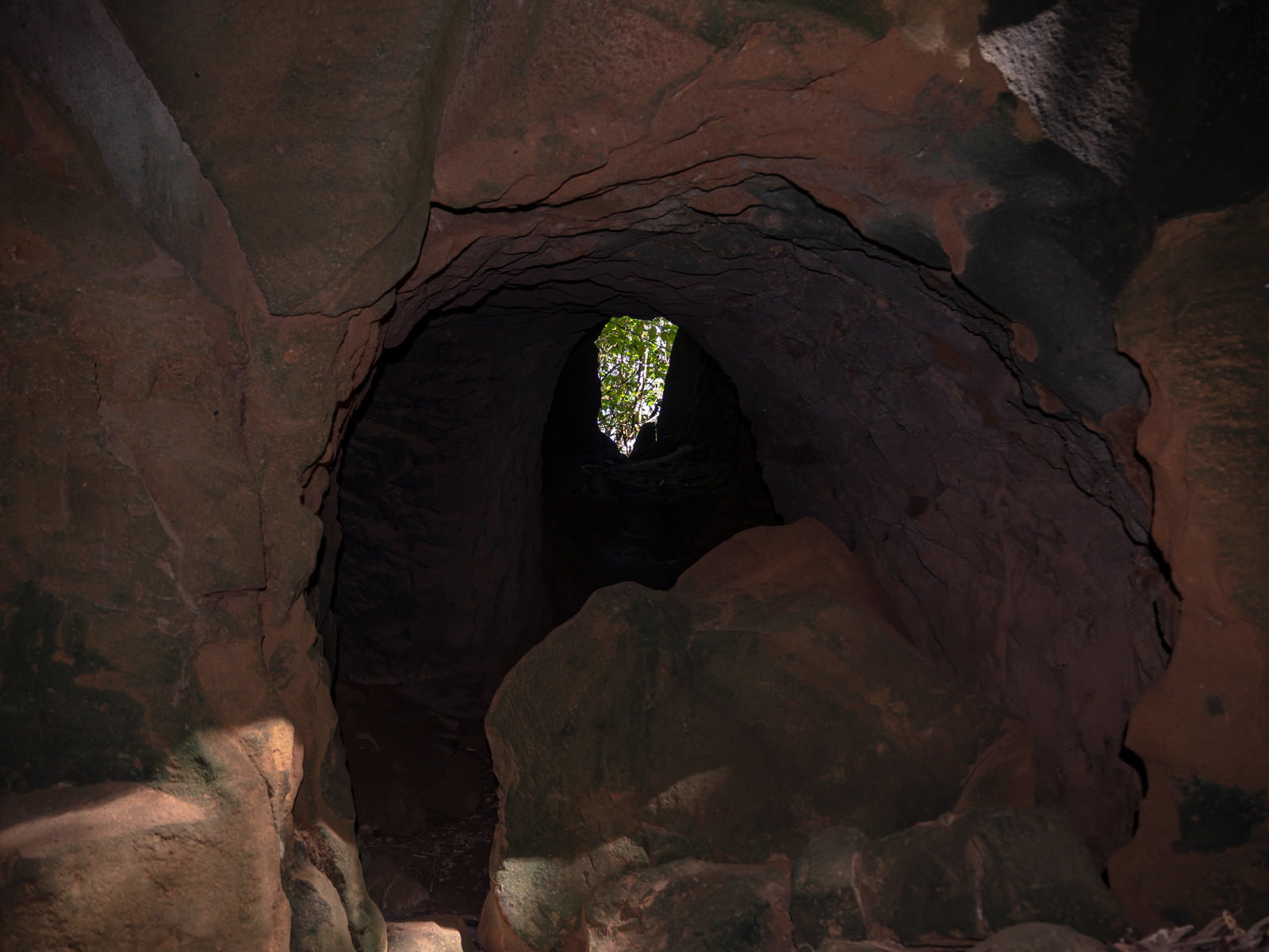 硫黄島の赤茶色の岩壁に囲まれた暗い探照灯壕通路内部で、天井の開口部から緑の植物が見える