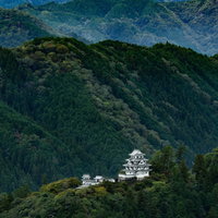 渓谷に抱かれた郡上八幡城の写真