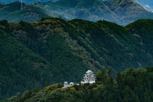 渓谷に抱かれた郡上八幡城