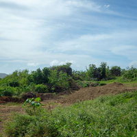海軍南地区砲台群近くのドラム缶壕北側壕口の写真